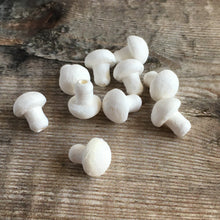 Load image into Gallery viewer, Compressed paper mushrooms / toadstools 1.2 cm diameter - spun cotton / paper shapes
