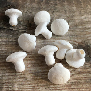 Spun cotton craft mushrooms / toadstools to decorate