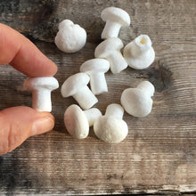 Load image into Gallery viewer, Compressed paper mushrooms 2 cm diameter - spun cotton fungi