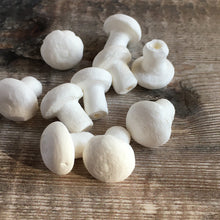Load image into Gallery viewer, Compressed paper mushrooms 2 cm diameter - spun cotton fungi