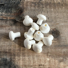 Load image into Gallery viewer, Compressed paper mushrooms 2 cm diameter - spun cotton fungi