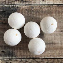 Load image into Gallery viewer, Compressed paper balls 4.5 cm diameter - white spun cotton / paper wadding shapes