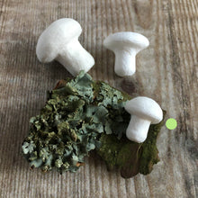 Load image into Gallery viewer, Compressed paper mushrooms / toadstools 1.2 cm diameter - spun cotton / paper shapes
