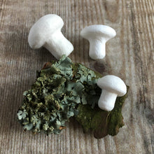 Load image into Gallery viewer, Compressed paper mushrooms 2 cm diameter - spun cotton fungi