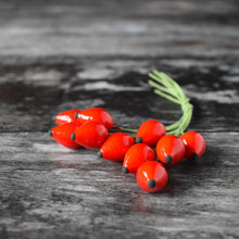 Load image into Gallery viewer, Rosehips - ten glazed spun cotton rosehips on wire stem