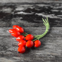 Load image into Gallery viewer, Rosehips - ten glazed spun cotton rosehips on wire stem
