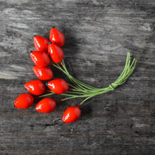 Load image into Gallery viewer, Rosehips - ten glazed spun cotton rosehips on wire stem