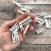 Load image into Gallery viewer, White mini pegs scale