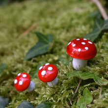 Load image into Gallery viewer, Red spun cotton mushrooms - 13 mm fly agaric / amanita decorations on wire stem
