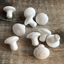 Load image into Gallery viewer, Spun cotton craft mushrooms / toadstools to decorate
