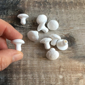 Compressed paper mushrooms / toadstools 16mm