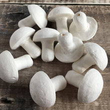 Load image into Gallery viewer, Compressed paper mushrooms 3.5 cm diameter - spun cotton / paper shapes
