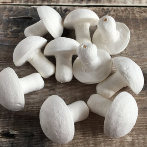 Compressed paper mushrooms 3.5 cm diameter - spun cotton / paper shapes