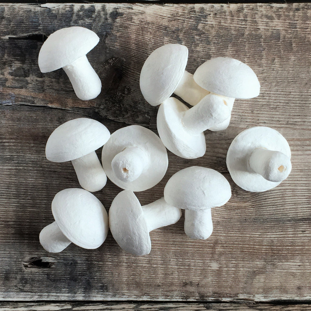 Compressed paper mushrooms 3.5 cm diameter - spun cotton / paper shapes