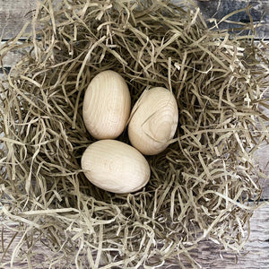 Beech duck eggs in nest