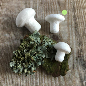 Compressed paper mushrooms / toadstools