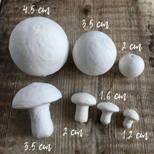 Load image into Gallery viewer, Compressed paper mushrooms 2 cm diameter - spun cotton fungi
