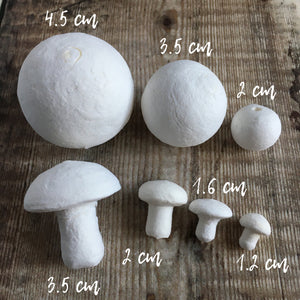Compressed paper mushrooms 2 cm diameter - spun cotton fungi