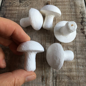 Compressed paper mushrooms 3.5 cm diameter - spun cotton / paper shapes