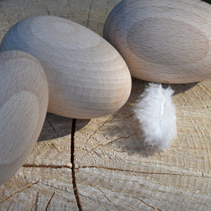 Wood eggs and feather